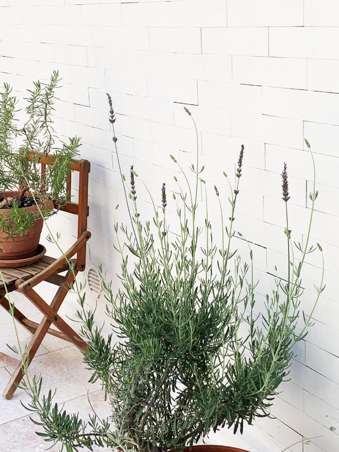 Tap Apartments - In Independent House With Private Garden 알게로 외부 사진
