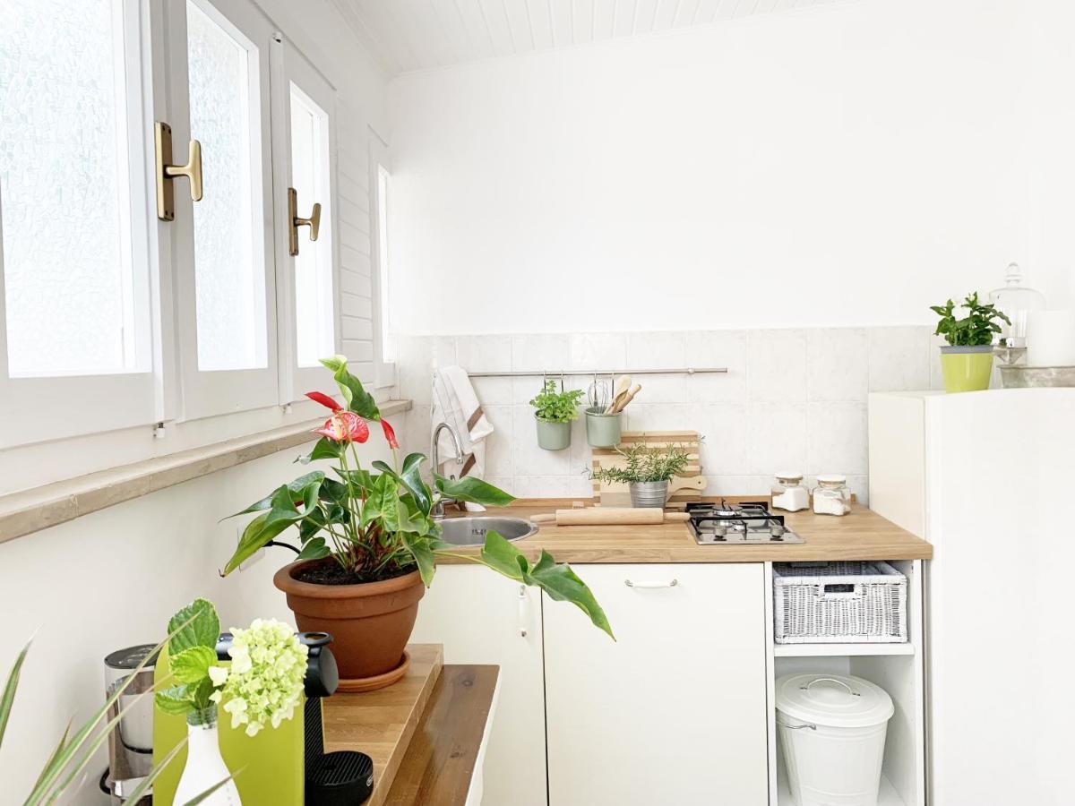 Tap Apartments - In Independent House With Private Garden 알게로 외부 사진