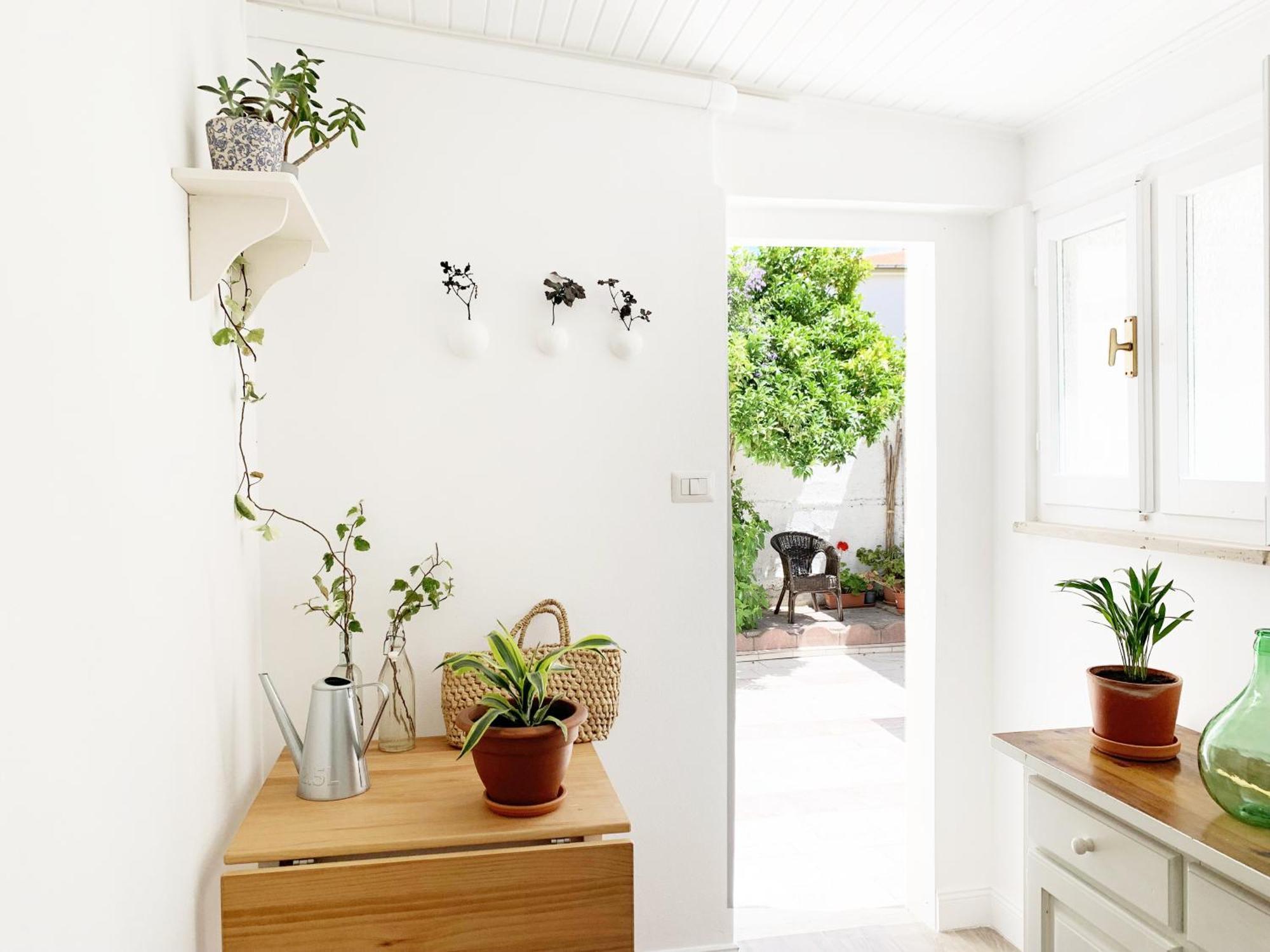 Tap Apartments - In Independent House With Private Garden 알게로 외부 사진